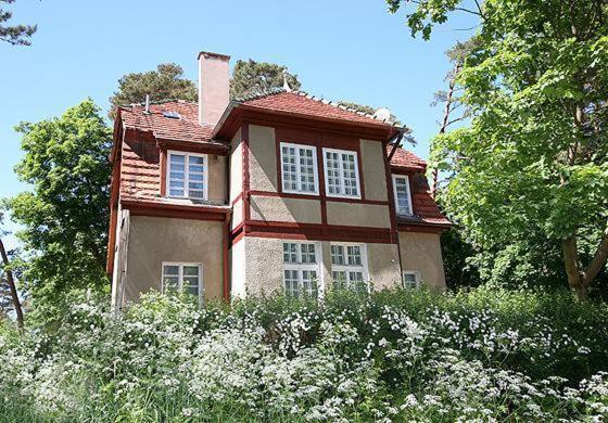 Apartament Gryf pokoje blisko plaży Krynica Morska Zewnętrze zdjęcie